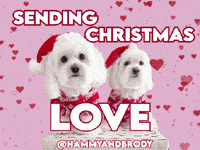 Merry Christmas Hearts GIF by HammyandBrody