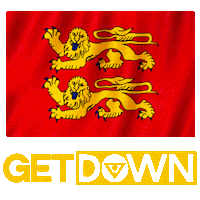 Flag Lion Sticker by Dj Getdown