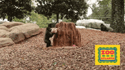 Trick Or Treat Halloween GIF by ZooATL