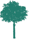 WeaverArborist new post tree trees wood Sticker