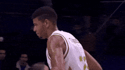 Real Madrid Basketball GIF by ACB