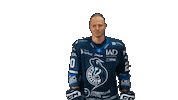 Icehockey Sticker by HK Poprad