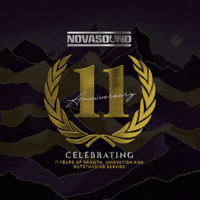 Money Gold GIF by Nova Sound