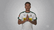 football pray GIF by Bundesliga