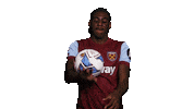 Premier League Sport Sticker by West Ham United
