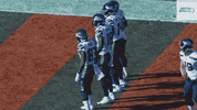 National Football League GIF by Seattle Seahawks