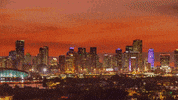 Miami Gdz GIF by Gente De Zona