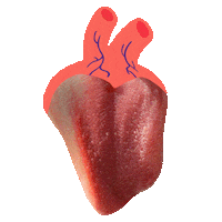 Heart Tongue Sticker by YK Animation Studio