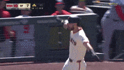 Home Run Celebration GIF by MLB