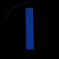 bjj jiujitsu GIF by aforcebjj