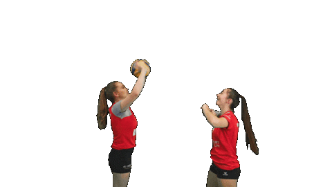tbasvvolleyball giphyupload volleyball damen1 tbasvregenstauf Sticker