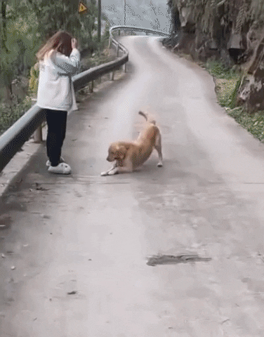 giphyupload GIF
