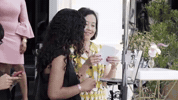 GIF by TheCollectionFL