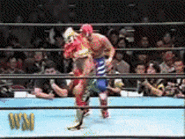 rey mysterio GIF