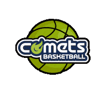 Comet Sticker by WIT