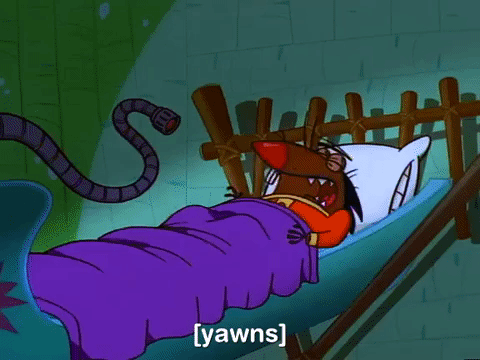 angry beavers nicksplat GIF