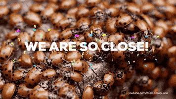 GIF by KQEDScience