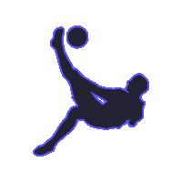 Futbol Panama Sticker by STC