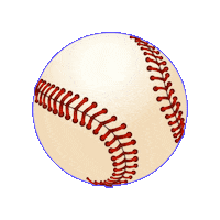 Panama Sticker by STC