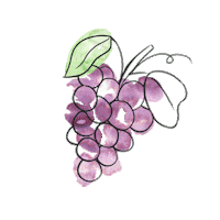 LeighElizabethStudio orange fruit lemon watermelon Sticker