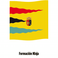 Castilla Y Leon Flag GIF by Formación Ninja