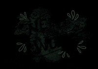 kaktostudio lettering script multicolor new work GIF