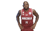 World Cup Sticker by FIBA