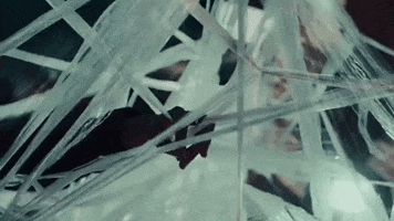 Say So Spider Web GIF by Doja Cat