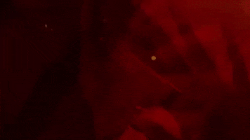 Say So Red Light GIF by Doja Cat