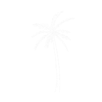 Palm Tree Summer Sticker