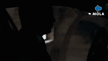 Chasing James Bond GIF by MolaTV