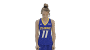 Swipe Up Field Hockey Sticker by Delaware Blue Hens