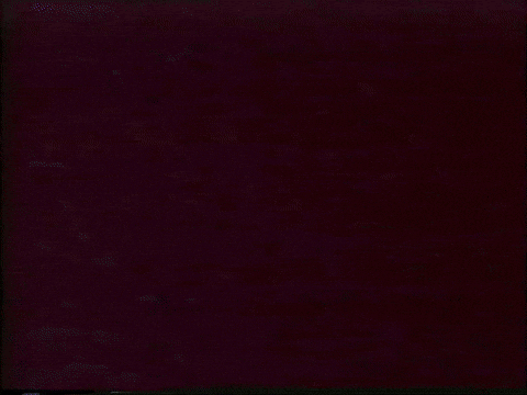 Found Footage Vhs GIF by Preston Spurlock