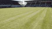 officialdafc stadium dunfermline dunfermline athletic dafc GIF