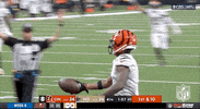 Football Sport GIF by NFL