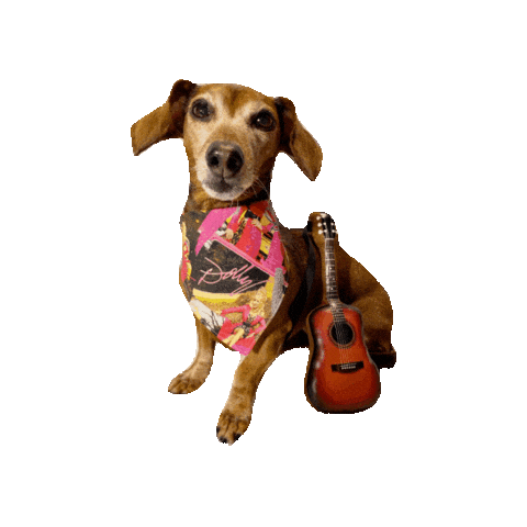 Dolly Parton Sticker by Geekster Pets