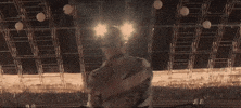 coachella 2019 GIF by FISHER