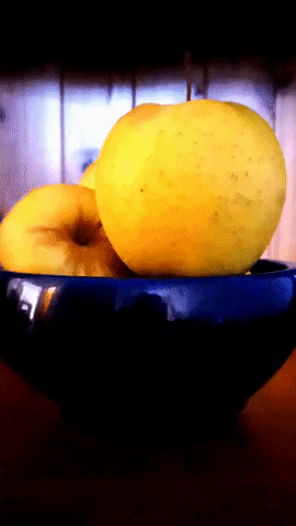 Simongip giphygifmaker GIF