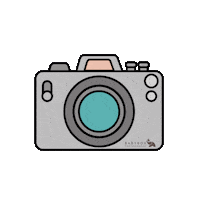Photography Click Sticker by BabyBox
