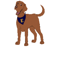 Blue And Gold Dog Sticker by ETSU