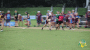 Tfa GIF by Touch Football Australia