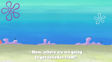 snooze you lose episode 4 GIF by SpongeBob SquarePants