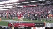 National Football League GIF by NFL