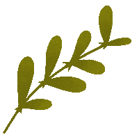 Loop Blooming Sticker