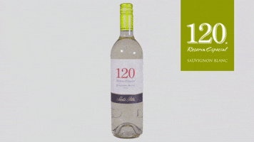 SantaRitaWinesBrasil wine recipe vinho receita GIF