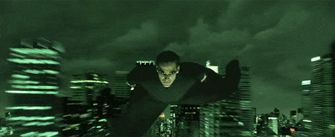flying GIF