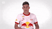 Red Bull Sport GIF by FC Red Bull Salzburg