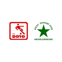 Sport Heerlen Sticker by Groene ster