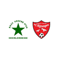 Sport Heerlen Sticker by Groene ster
