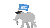 Tufts University Jumbos Sticker by Tufts